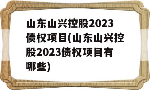 山东山兴控股2023债权项目(山东山兴控股2023债权项目有哪些)