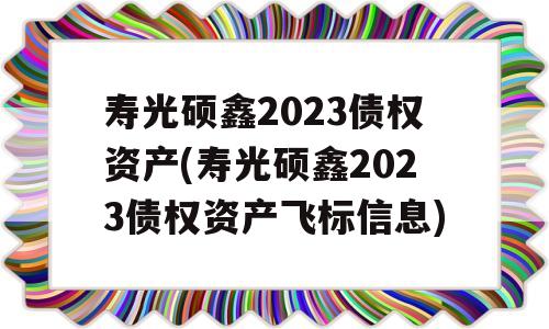 寿光硕鑫2023债权资产(寿光硕鑫2023债权资产飞标信息)