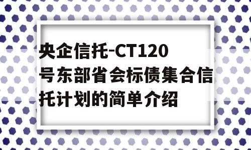 央企信托-CT120号东部省会标债集合信托计划的简单介绍