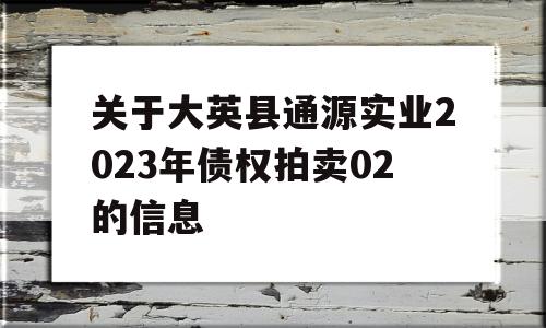 关于大英县通源实业2023年债权拍卖02的信息