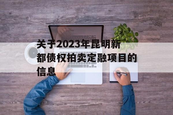 关于2023年昆明新都债权拍卖定融项目的信息