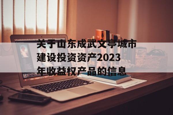 关于山东成武文亭城市建设投资资产2023年收益权产品的信息