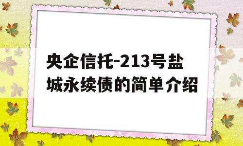 央企信托-213号盐城永续债的简单介绍