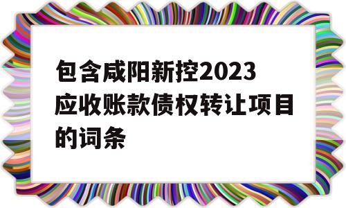 包含咸阳新控2023应收账款债权转让项目的词条