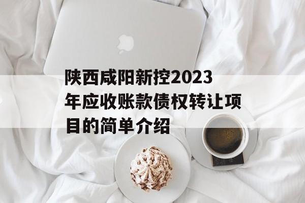 陕西咸阳新控2023年应收账款债权转让项目的简单介绍