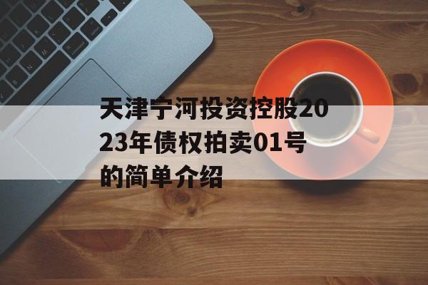 天津宁河投资控股2023年债权拍卖01号的简单介绍