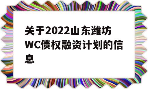 关于2022山东潍坊WC债权融资计划的信息