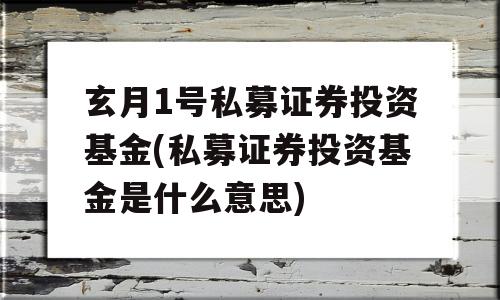 玄月1号私募证券投资基金(私募证券投资基金是什么意思)