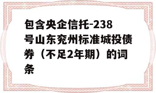 包含央企信托-238号山东兖州标准城投债券（不足2年期）的词条