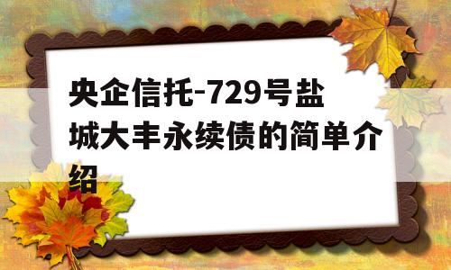 央企信托-729号盐城大丰永续债的简单介绍