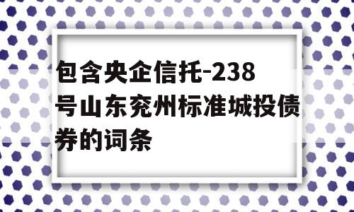 包含央企信托-238号山东兖州标准城投债券的词条