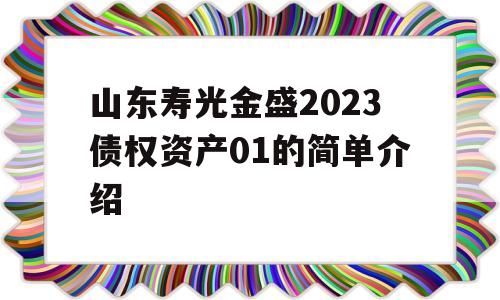 山东寿光金盛2023债权资产01的简单介绍