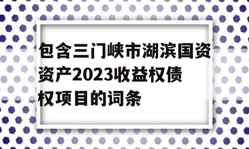 包含三门峡市湖滨国资资产2023收益权债权项目的词条