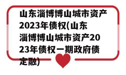 山东淄博博山城市资产2023年债权(山东淄博博山城市资产2023年债权一期政府债定融)