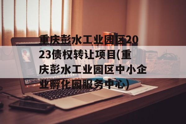 重庆彭水工业园区2023债权转让项目(重庆彭水工业园区中小企业孵化园服务中心)