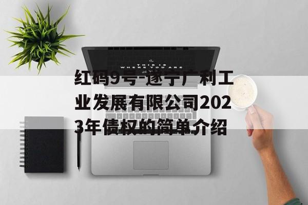 红码9号-遂宁广利工业发展有限公司2023年债权的简单介绍