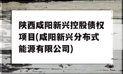 陕西咸阳新兴控股债权项目(咸阳新兴分布式能源有限公司)