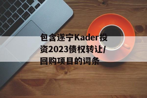 包含遂宁Kader投资2023债权转让/回购项目的词条