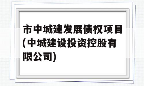 市中城建发展债权项目(中城建设投资控股有限公司)