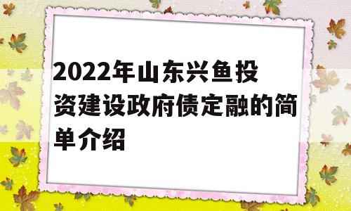 2022年山东兴鱼投资建设政府债定融的简单介绍