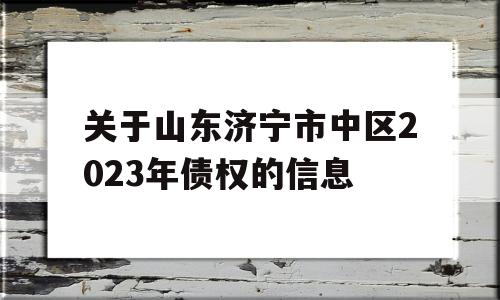 关于山东济宁市中区2023年债权的信息