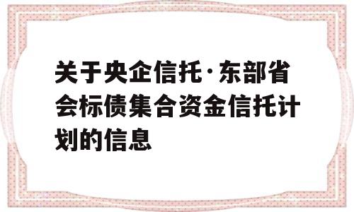 关于央企信托·东部省会标债集合资金信托计划的信息