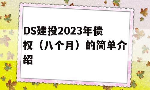 DS建投2023年债权（八个月）的简单介绍