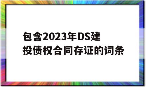 包含2023年DS建投债权合同存证的词条