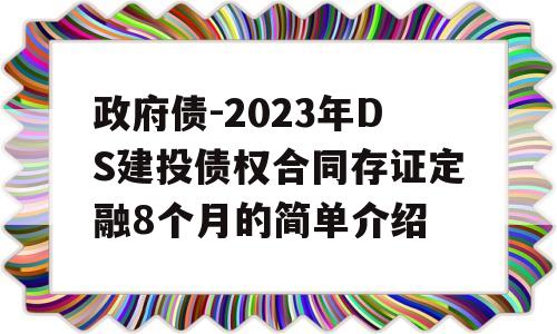 政府债-2023年DS建投债权合同存证定融8个月的简单介绍