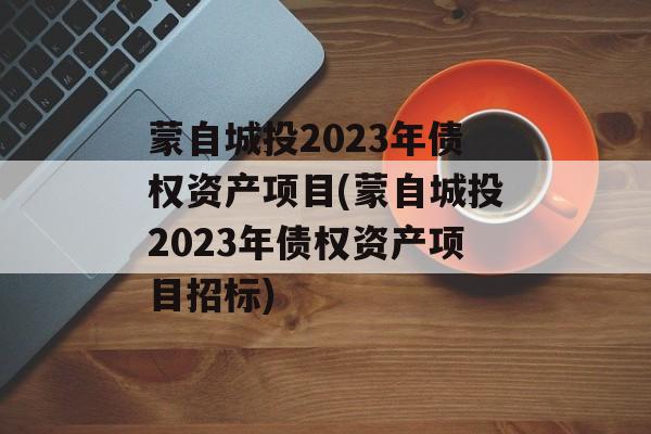 蒙自城投2023年债权资产项目(蒙自城投2023年债权资产项目招标)