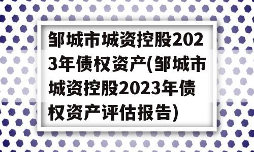 邹城市城资控股2023年债权资产(邹城市城资控股2023年债权资产评估报告)