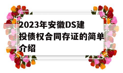 2023年安徽DS建投债权合同存证的简单介绍