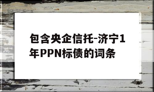 包含央企信托-济宁1年PPN标债的词条