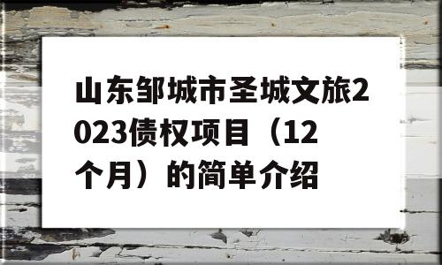 山东邹城市圣城文旅2023债权项目（12个月）的简单介绍