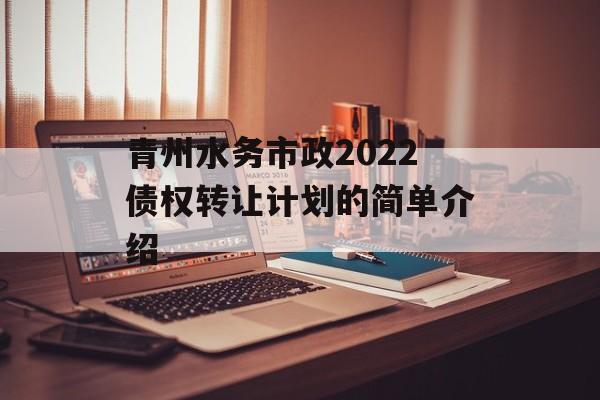 青州水务市政2022债权转让计划的简单介绍