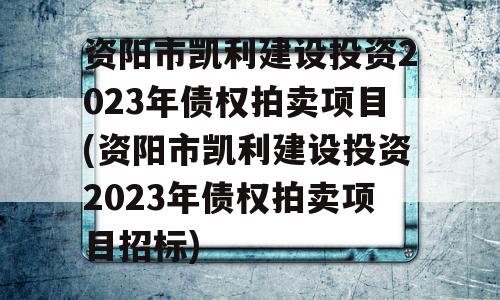 资阳市凯利建设投资2023年债权拍卖项目(资阳市凯利建设投资2023年债权拍卖项目招标)