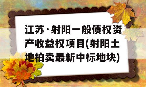 江苏·射阳一般债权资产收益权项目(射阳土地拍卖最新中标地块)