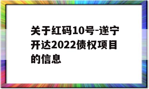 关于红码10号-遂宁开达2022债权项目的信息