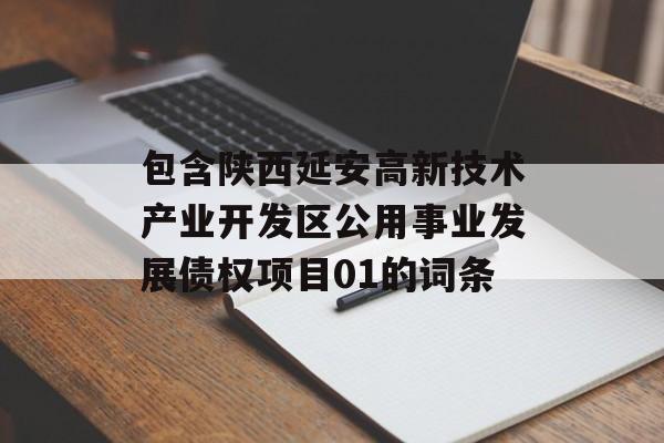 包含陕西延安高新技术产业开发区公用事业发展债权项目01的词条