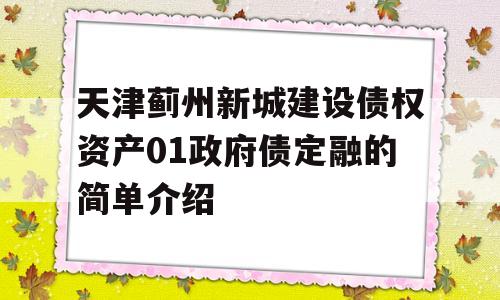 天津蓟州新城建设债权资产01政府债定融的简单介绍