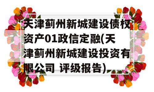 天津蓟州新城建设债权资产01政信定融(天津蓟州新城建设投资有限公司 评级报告)