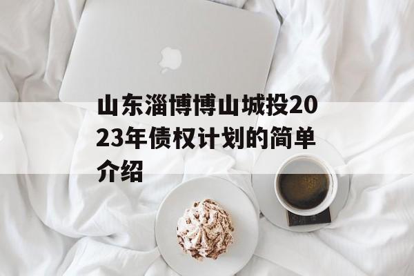 山东淄博博山城投2023年债权计划的简单介绍