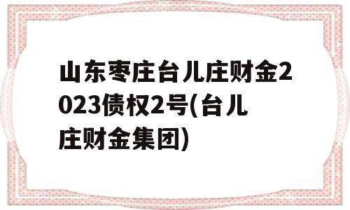 山东枣庄台儿庄财金2023债权2号(台儿庄财金集团)