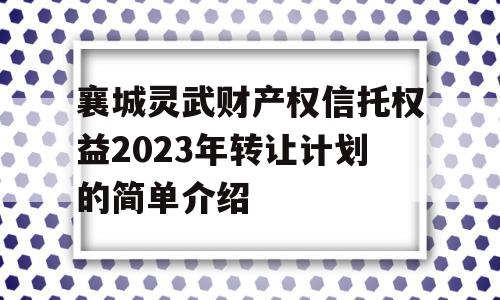 襄城灵武财产权信托权益2023年转让计划的简单介绍