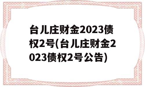 台儿庄财金2023债权2号(台儿庄财金2023债权2号公告)