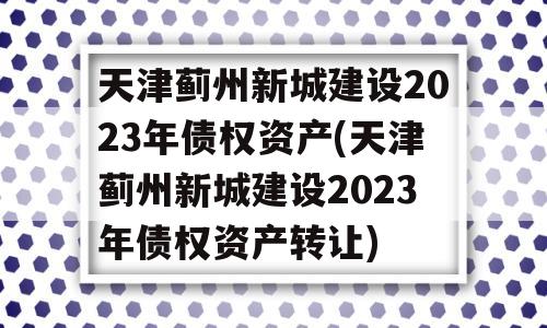 天津蓟州新城建设2023年债权资产(天津蓟州新城建设2023年债权资产转让)