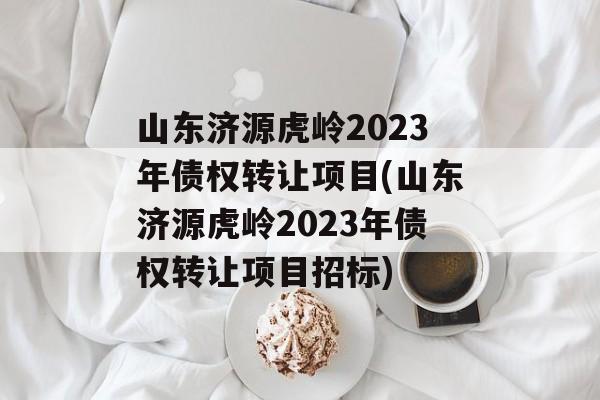 山东济源虎岭2023年债权转让项目(山东济源虎岭2023年债权转让项目招标)