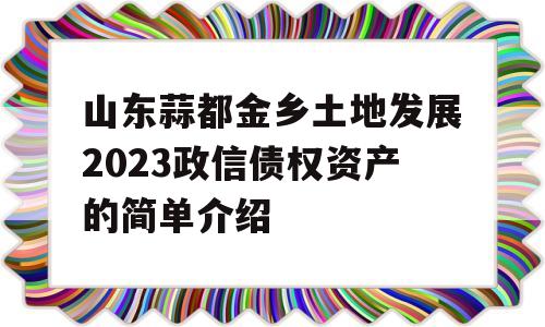 山东蒜都金乡土地发展2023政信债权资产的简单介绍