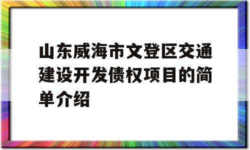 山东威海市文登区交通建设开发债权项目的简单介绍