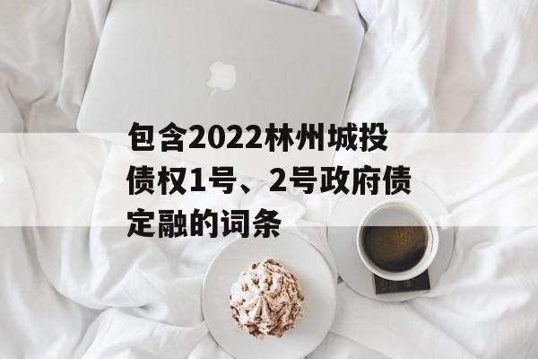 包含2022林州城投债权1号、2号政府债定融的词条